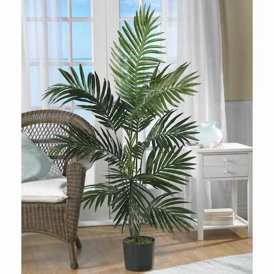 4ft. Potted Palm Tree